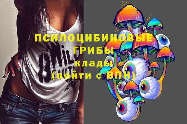 скорость Арсеньев