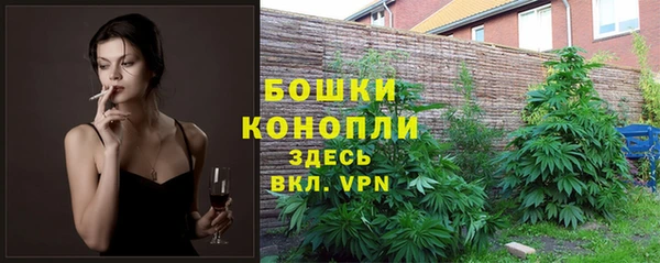 не бодяженный Аркадак