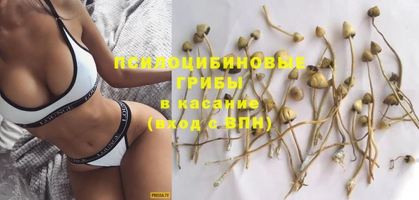 не бодяженный Аркадак
